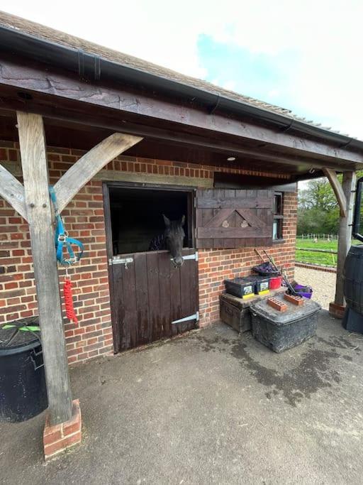 דירות פטוורת' The Stable, Grove End Farm מראה חיצוני תמונה