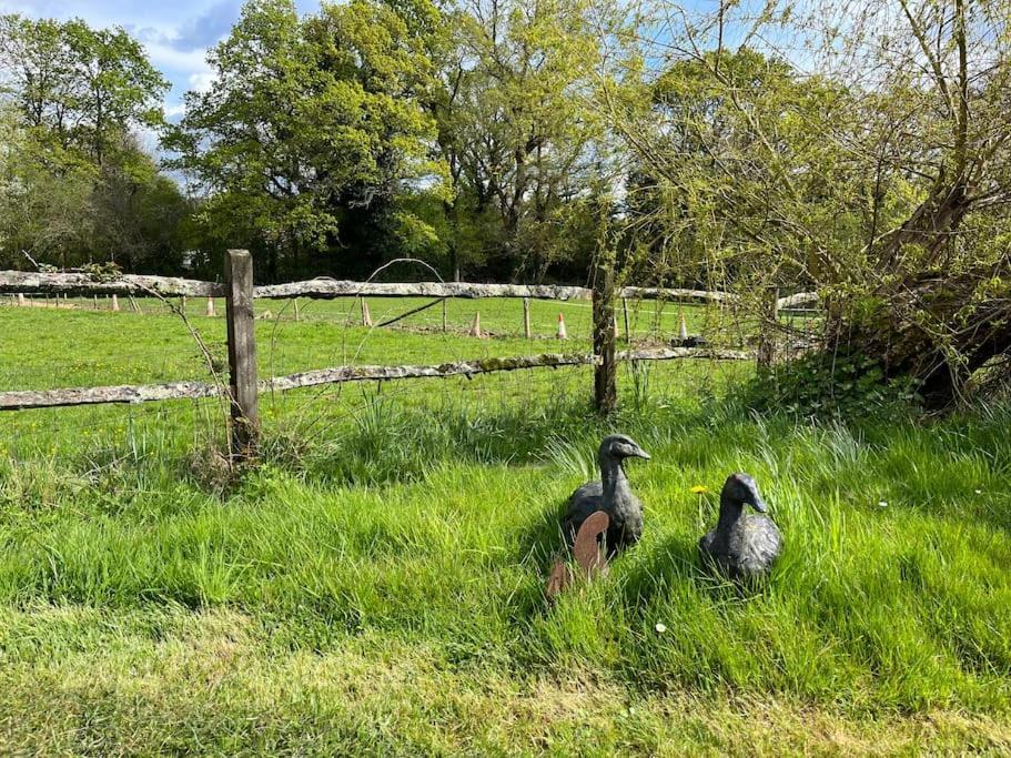 דירות פטוורת' The Stable, Grove End Farm מראה חיצוני תמונה